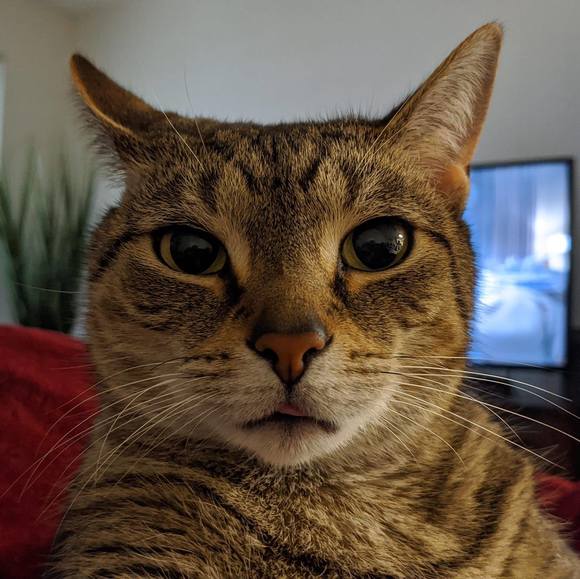 joebug28